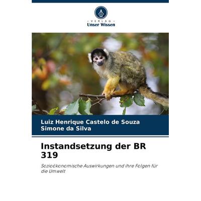 Instandsetzung der BR 319, Taschenbuch von Luiz Henrique Castelo de Souza,Simone da Silva, Verlag Unser Wissen, 978-620-7-31244-3
