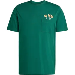 adidas Novelty Dart Graphic T-Shirt Herren JZ5042 - collegiate green XS