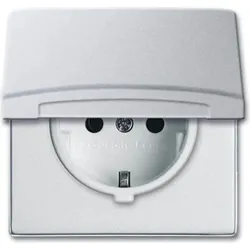 Busch-Jaeger Schuko-Steckdoseneinsatz IP44 Aluminium-Silber 20 EUGK-33-101