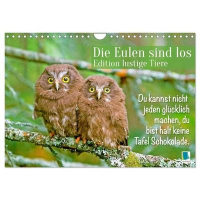 Die Eulen sind los: Edition lustige Tiere (Wandkalender 2027 DIN A4 quer), CALVENDO Monatskalender
