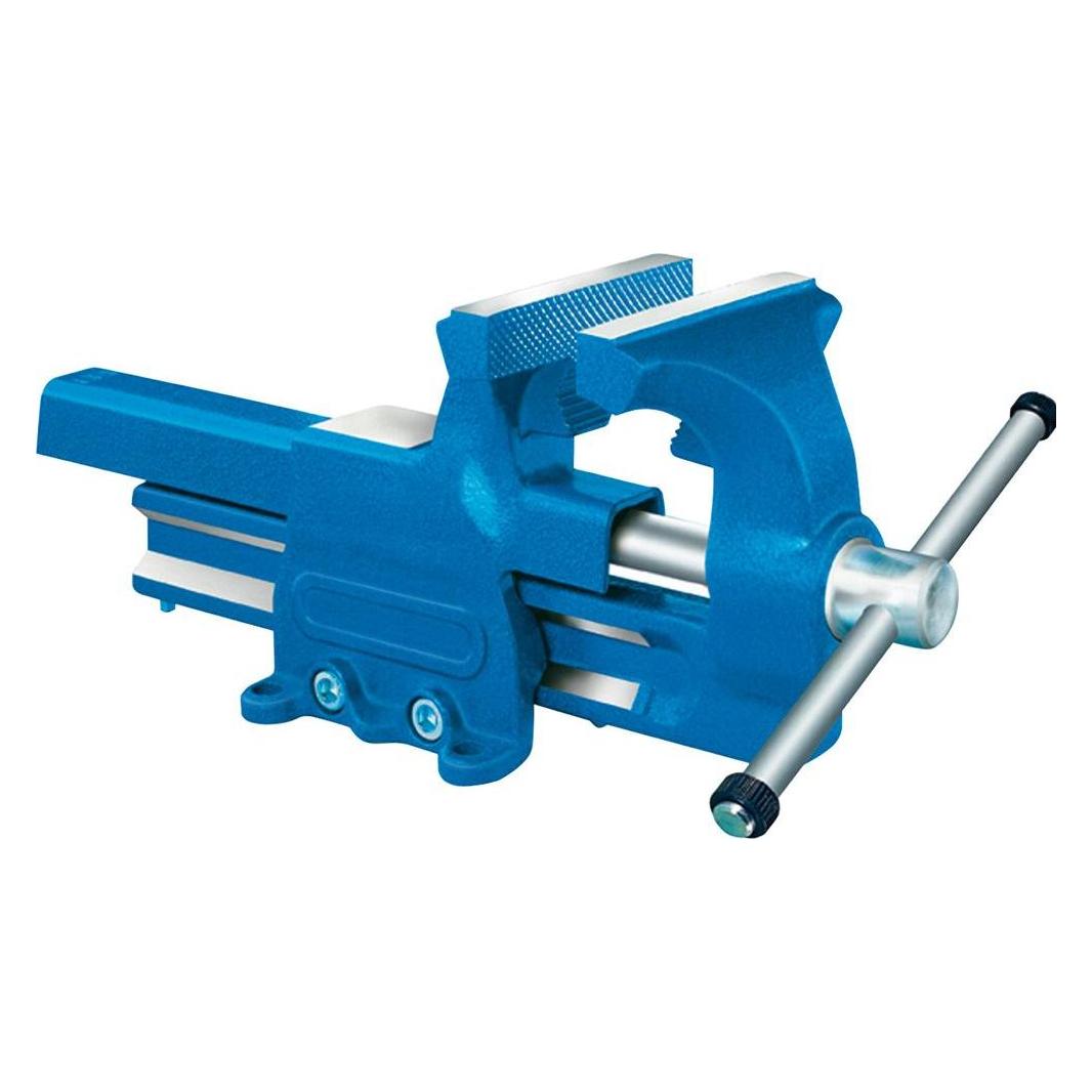 Forum Professional Solutions Parallelschraubstock 100mm m.Ambossfl. (127 mm) (4317784842235 / 6020-106422.0100)