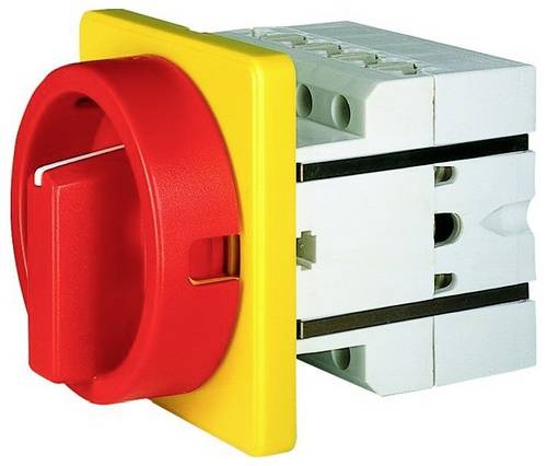 Elektra Tailfingen Not-Aus-Schalter für Frontbefestigung, verriegelbar IP54 1St.