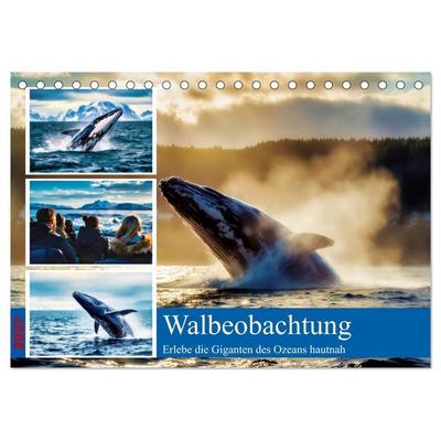 Whale Watching (Tischkalender 2027 DIN A5 quer), CALVENDO Monatskalender