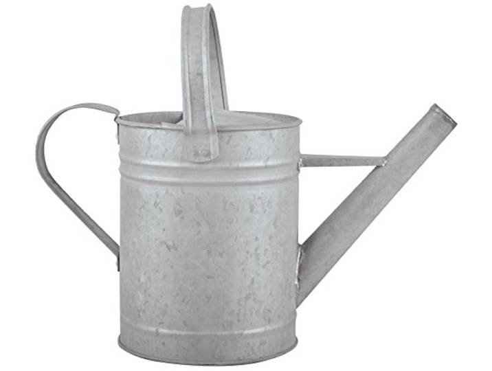 Fallen Fruits OZ43 Altzink Gießkanne 1,5 Liter Gieter, Grijs (zink), S