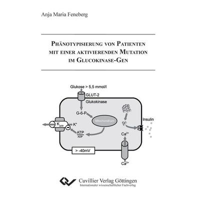 Phänotypisierung von Patienten mit einer aktivierenden Mutation im Glucokinase-Gen, Taschenbuch von Anja Feneberg, Cuvillier, E, 978-3-86955-369-6