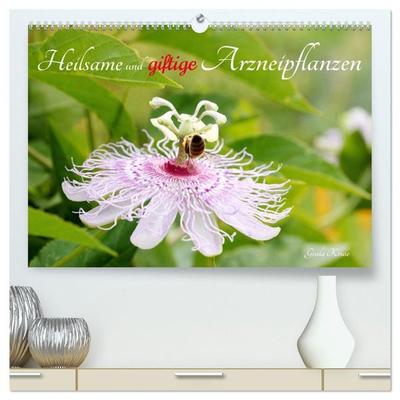 Heilsame und giftige Arzneipflanzen (hochwertiger Premium Wandkalender 2027 DIN A2 quer), Kunstdruck in Hochglanz
