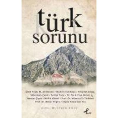 Türk Sorunu, Taschenbuch von Mustafa Kilic, Profil Yayincilik, 978-975-996-420-7