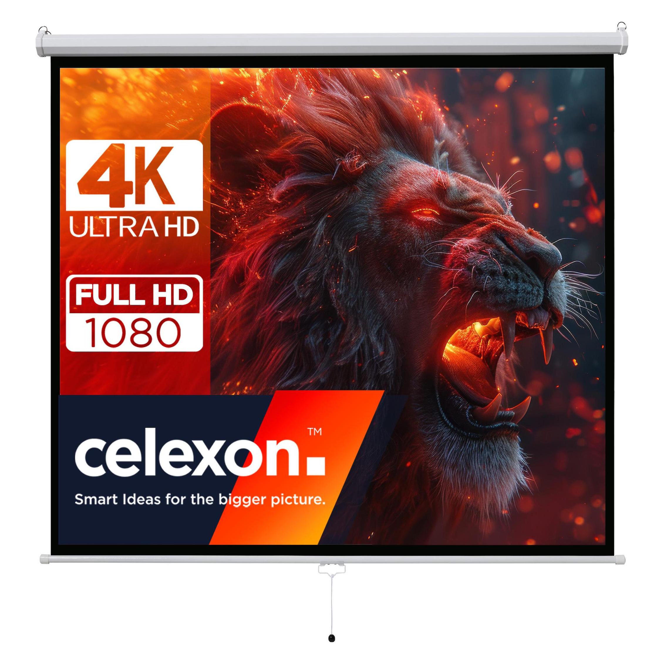 Celexon basic Heimkino- und Business manuell ausziehbare Rollo-Leinwand - einfache Montage und Bedie (1:1) (42583967)