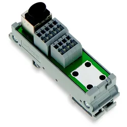 WAGO GmbH & Co. KG RJ-45 Übergabemodul 289-175