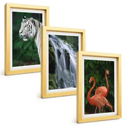 BILDER SET 3er Set - 20x30 cm Goldrahmen - Tiger Wasserfall Flamingos Natur
