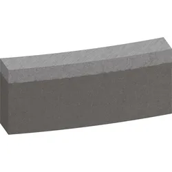 Bosch PRO Segmente für Diamantbohrkrone Standard for Concrete - 2608601756