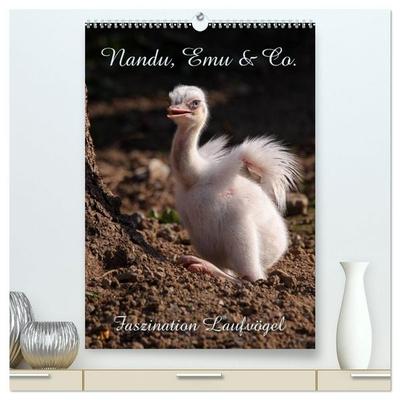 Nandu, Emu & Co. (hochwertiger Premium Wandkalender 2027 DIN A2 hoch), Kunstdruck in Hochglanz