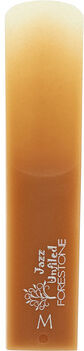 Forestone Unfiled Alto Saxophone M