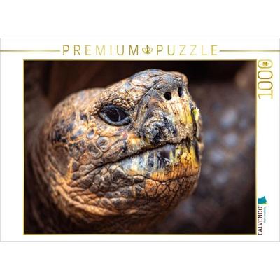 CALVENDO Puzzle Galapagos Riesenschildkröte | 1000 Teile Lege-Größe 64x48cm Foto-Puzzle für glückliche Stunden