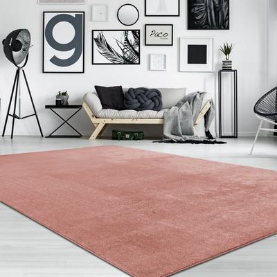 Paco Home Soft Washable Area Rug with Anti-Slip Backing in solid Colors