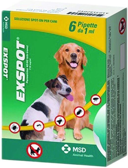 Exsport Exspot 6 Pipette Da 2 Ml