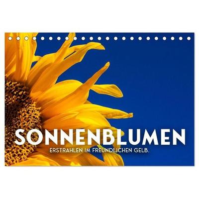 Sonnenblumen - Erstrahlen im freundlichen Gelb. (Tischkalender 2027 DIN A5 quer), CALVENDO Monatskalender