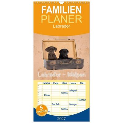 Familienplaner 2027 - Labrador - Welpen mit 5 Spalten (Wandkalender, 21 x 45 cm) CALVENDO