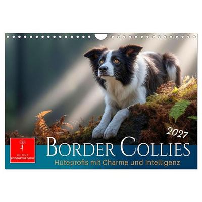 Border Collies Hüteprofis (Wandkalender 2027 DIN A4 quer), CALVENDO Monatskalender