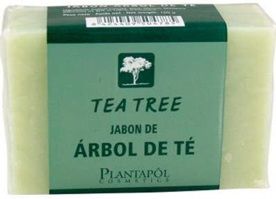 PlantaPol Jabón Árbol de Té 100 g