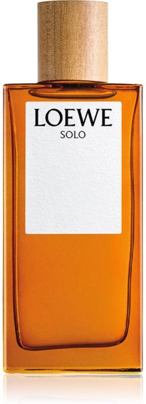 Loewe Solo Eau de Toilette pour homme 100 ml
