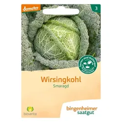 Bingenheimer Saatgut Wirsingkohl Smaragd demeter