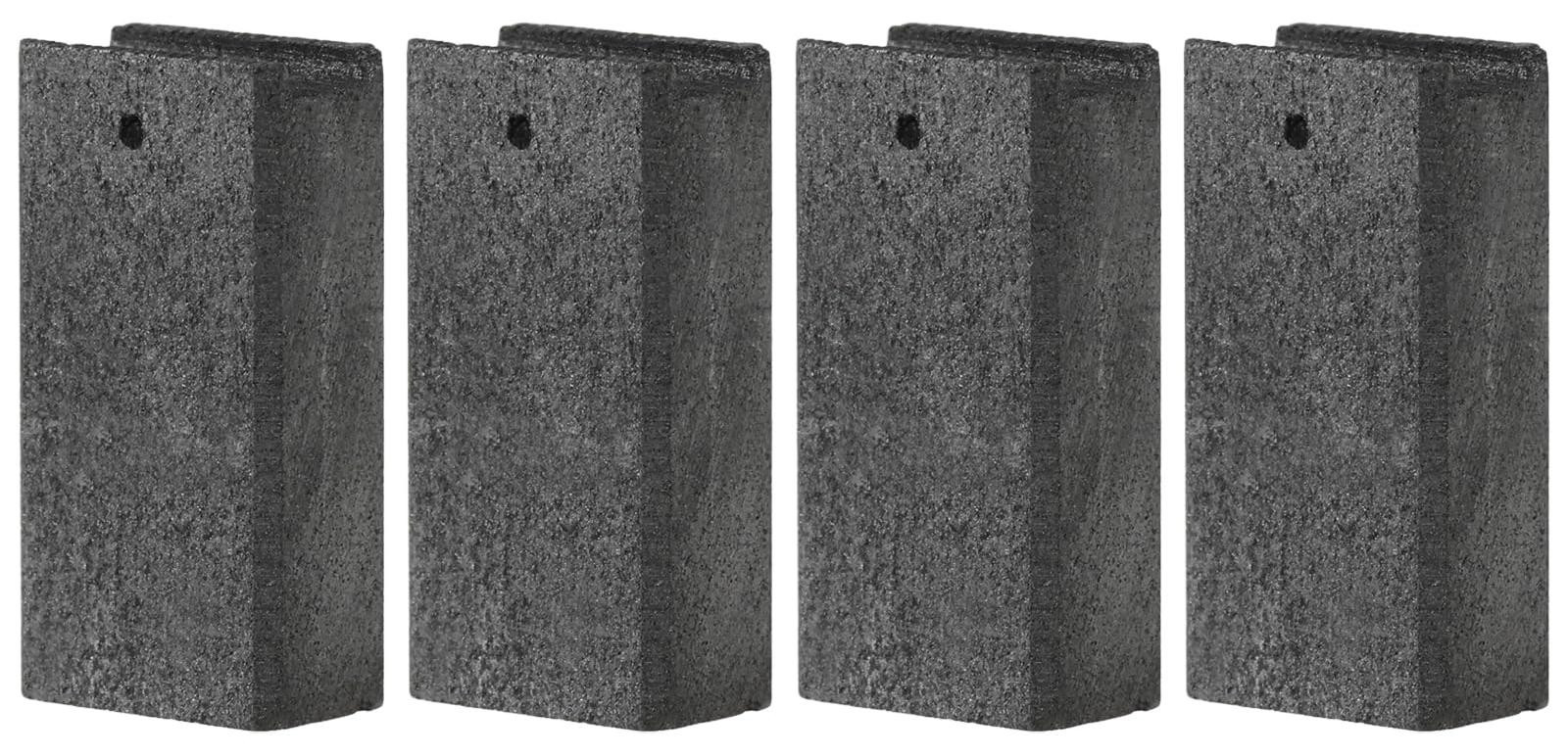 Selius Koolborstels voor bandschuurmachine, 2 paar, 5 x 8 x 15,5 mm