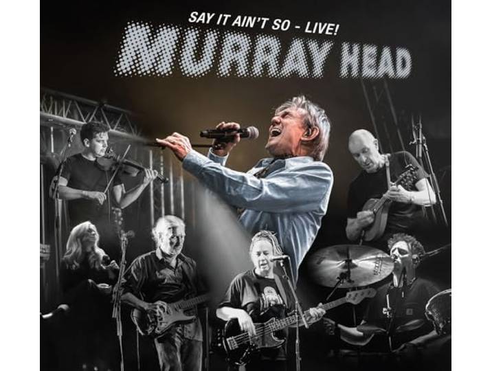Say It Ain't So - Live