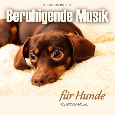 Beruhigende Musik Für Hunde - Electric Air Project, CD, 4260088630421