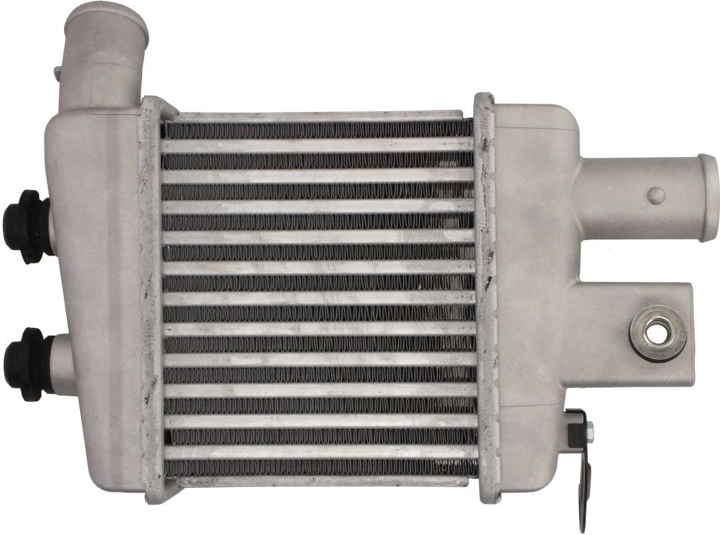 Thermotec Intercooler DA03003TT