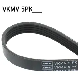 Keilrippenriemen SKF VKMV 5PK1025 für Ford Escort V Express
