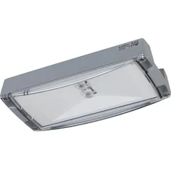 Ceag Notlichtsysteme Sicherheitsleuchte AtlanticLEDOHBCG-S