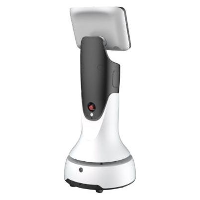 Wydawnictwo Naukowe PWN Orion Star | OS-R-SD03 AI Service Robot-GreetingBot Mini (6976072510126)