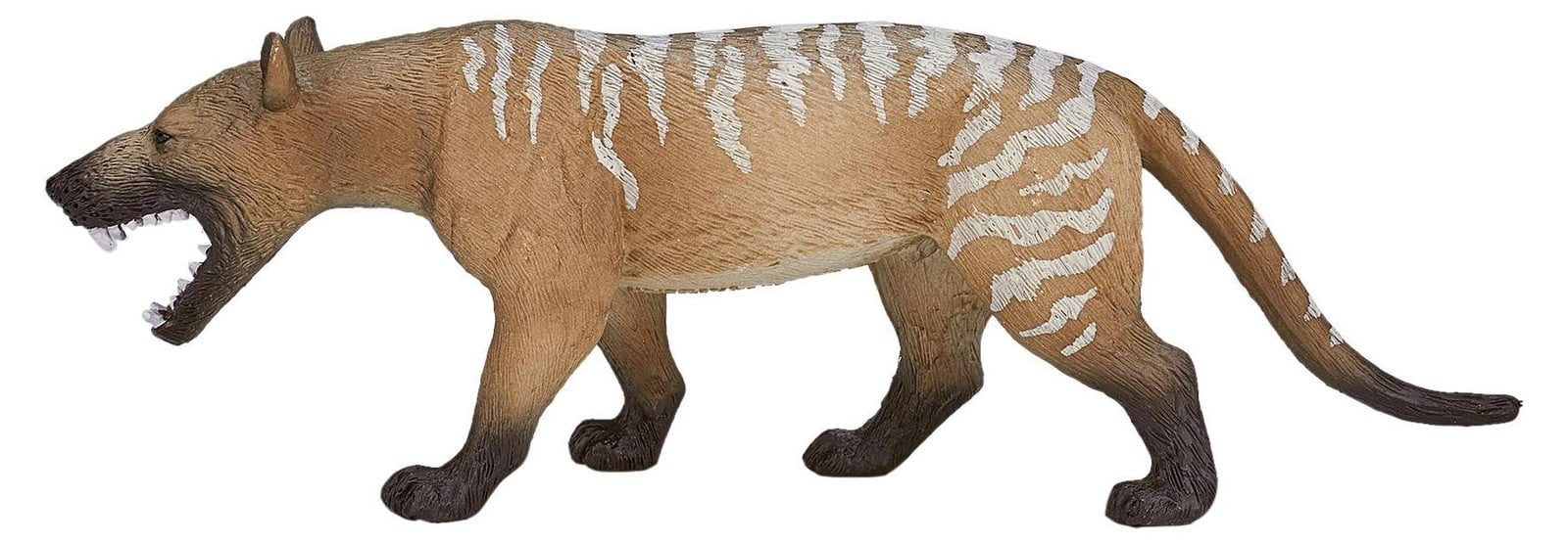 Animal Planet Hyaenodon Gigas