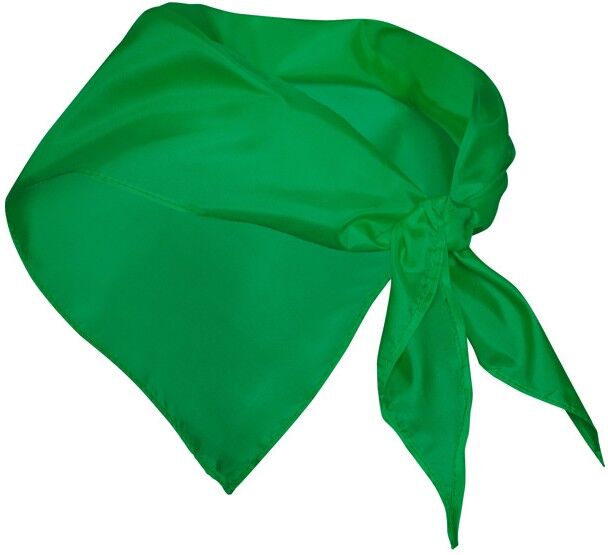 FESTERO Vert fougère TAILLE UNIQUE ADULTE
