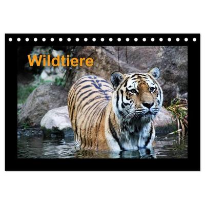 Wildtiere (Tischkalender 2027 DIN A5 quer), CALVENDO Monatskalender