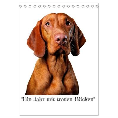 „Ein Jahr mit treuen Blicken“ (Tischkalender 2027 DIN A5 hoch), CALVENDO Monatskalender