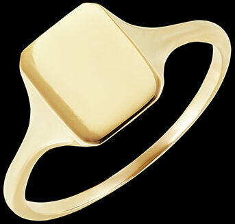 Edenly Ring DÃ¤mmerschein - Siegelring Hera - Gelbgold, 18 Karat