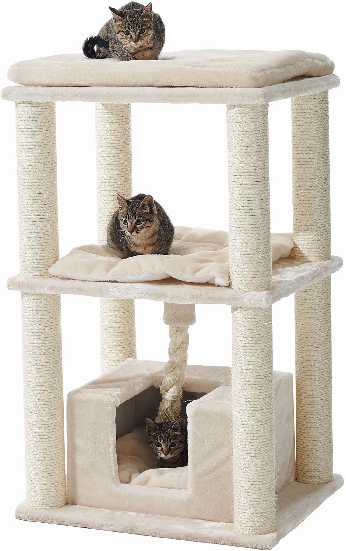 Kratzbaum NOBBY "Kratzbaum Brida cream", beige (natur), B:60cm H:90cm T:48cm, Sisal, Kratzbäume, Kratzbaum natur B/H/T: 60cm x 90cm x 48cm