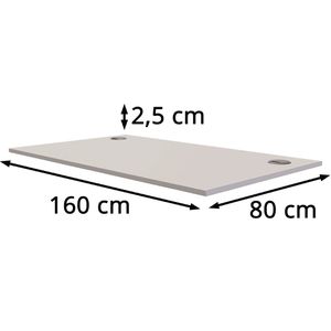 Fellowes Tischplatte 9870401, rechteckig, 160 x 80cm, grau