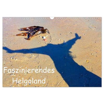 Faszinierendes Helgoland (Wandkalender 2026 DIN A3 quer), CALVENDO Monatskalender