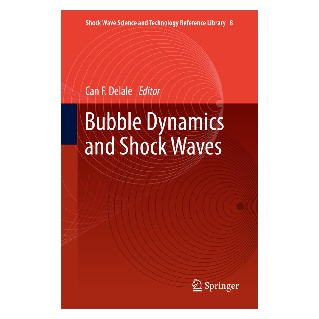 Springer Bubble Dynamics and Shock Waves (Englisch, Softcover, Can F. Delale) (55570454)