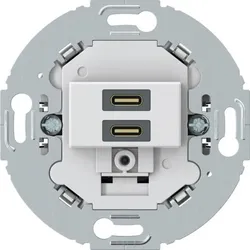 Berker USB Ladesteckdose 270429