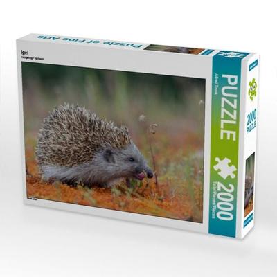 Igel (Puzzle)