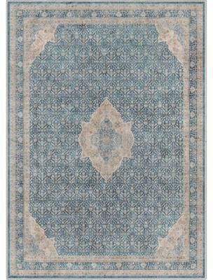 Well Woven Asha Lilith Persian Oriental Vintage Area Rug