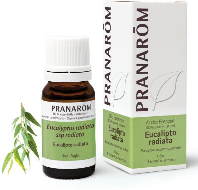 Pranarom Eucalipto radiata Bio 10 ml