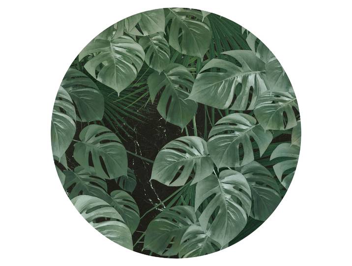 Vliestapete KOMAR Vlies selbstklebend - Novel Monstera - Grösse 125 x 125 cm , grün, B:125m L:125m, Vlies, Tapeten, Vliestapete, Wohnzimmer, Schlafzimmer