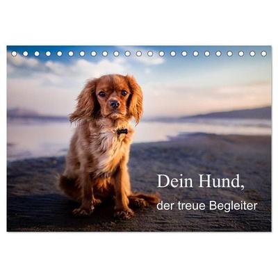 Dein Hund der treue Begleiter (Tischkalender 2027 DIN A5 quer), CALVENDO Monatskalender