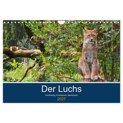 Der Luchs - Hochbeinig, Pinselohren, Backenbart (Wandkalender 2027 DIN A4 quer), CALVENDO Monatskalender