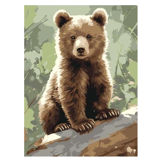 Qbee Malen nach Zahlen - Neugieriger Teddybär 30x40cm (58213521)